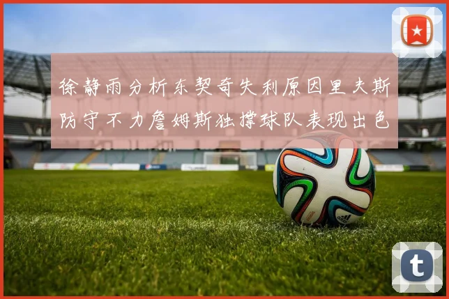 徐静雨分析东契奇失利原因里夫斯防守不力詹姆斯独撑球队表现出色
