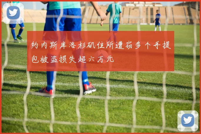 约内斯库洛杉矶住所遭窃多个手提包被盗损失超六万元
